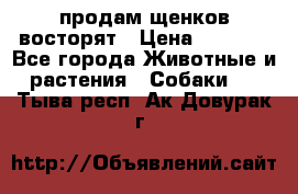 продам щенков восторят › Цена ­ 7 000 - Все города Животные и растения » Собаки   . Тыва респ.,Ак-Довурак г.